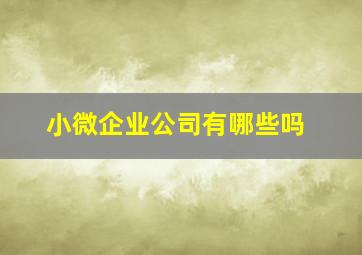 小微企业公司有哪些吗