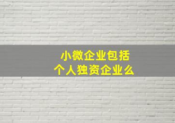 小微企业包括个人独资企业么