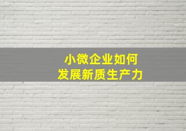 小微企业如何发展新质生产力