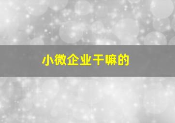 小微企业干嘛的