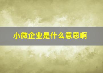 小微企业是什么意思啊