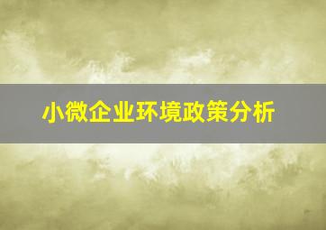 小微企业环境政策分析