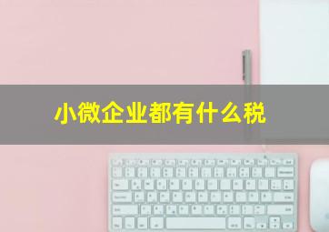 小微企业都有什么税