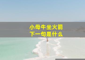 小母牛坐火箭下一句是什么