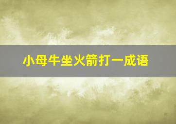 小母牛坐火箭打一成语