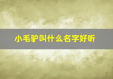 小毛驴叫什么名字好听