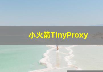 小火箭TinyProxy