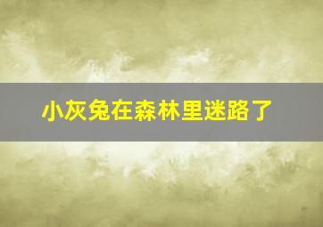 小灰兔在森林里迷路了