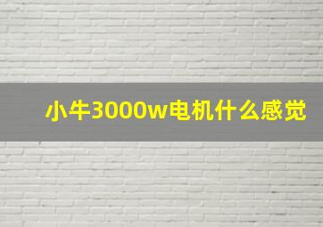 小牛3000w电机什么感觉