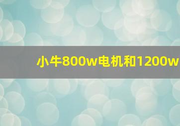 小牛800w电机和1200w