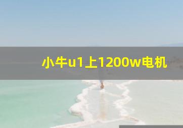 小牛u1上1200w电机