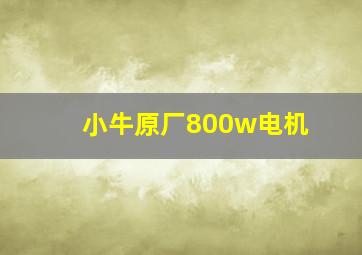 小牛原厂800w电机