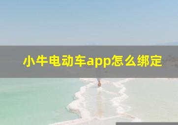 小牛电动车app怎么绑定