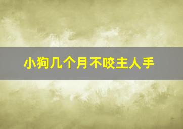 小狗几个月不咬主人手