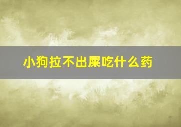 小狗拉不出屎吃什么药