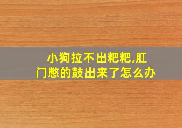 小狗拉不出粑粑,肛门憋的鼓出来了怎么办