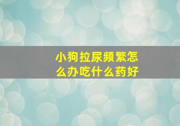 小狗拉尿频繁怎么办吃什么药好