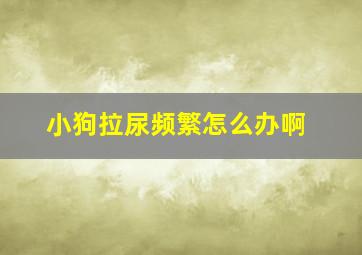 小狗拉尿频繁怎么办啊