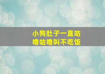 小狗肚子一直咕噜咕噜叫不吃饭