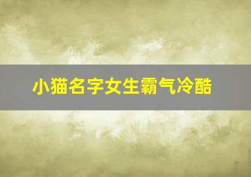 小猫名字女生霸气冷酷