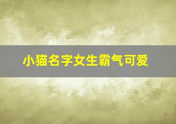 小猫名字女生霸气可爱