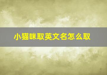 小猫咪取英文名怎么取