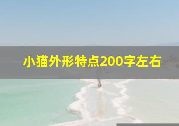 小猫外形特点200字左右