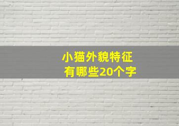 小猫外貌特征有哪些20个字