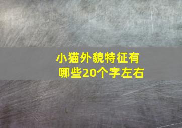 小猫外貌特征有哪些20个字左右