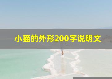 小猫的外形200字说明文