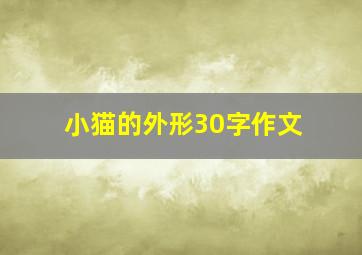 小猫的外形30字作文