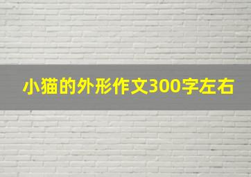 小猫的外形作文300字左右