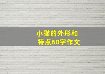 小猫的外形和特点60字作文