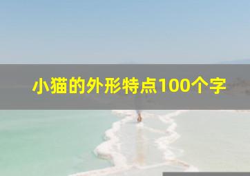 小猫的外形特点100个字