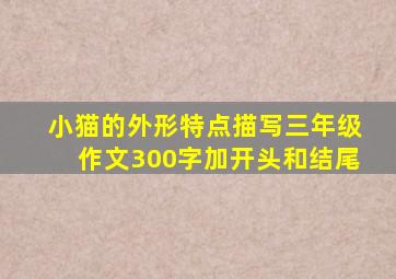 小猫的外形特点描写三年级作文300字加开头和结尾