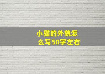 小猫的外貌怎么写50字左右