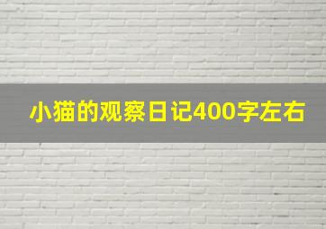 小猫的观察日记400字左右