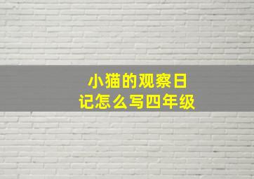 小猫的观察日记怎么写四年级