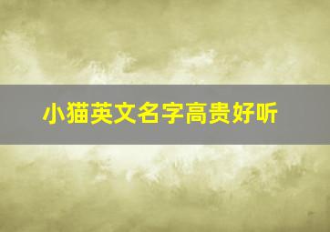 小猫英文名字高贵好听