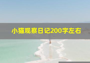 小猫观察日记200字左右