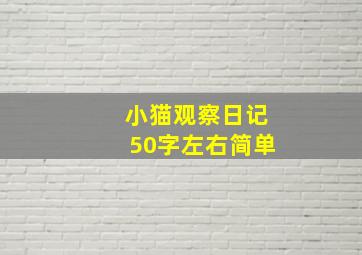 小猫观察日记50字左右简单