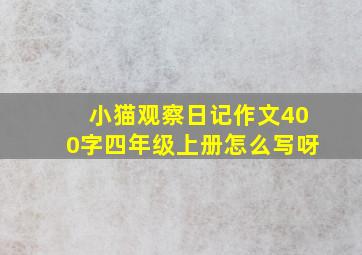 小猫观察日记作文400字四年级上册怎么写呀