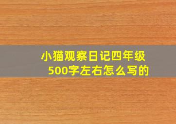 小猫观察日记四年级500字左右怎么写的