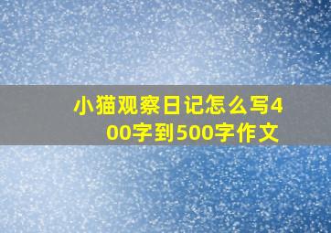 小猫观察日记怎么写400字到500字作文