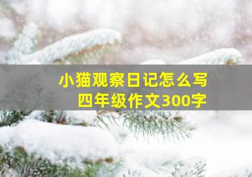 小猫观察日记怎么写四年级作文300字