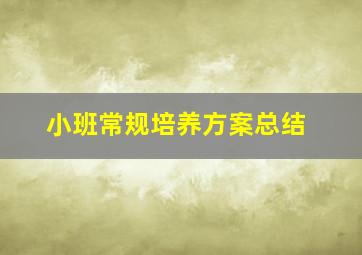 小班常规培养方案总结