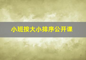 小班按大小排序公开课