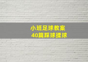 小班足球教案40篇踩球揉球