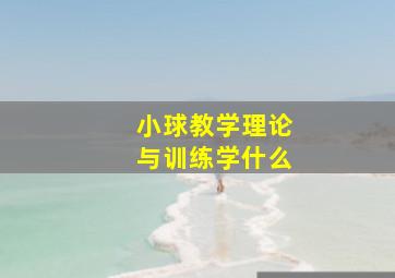 小球教学理论与训练学什么