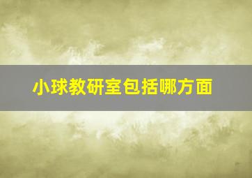 小球教研室包括哪方面